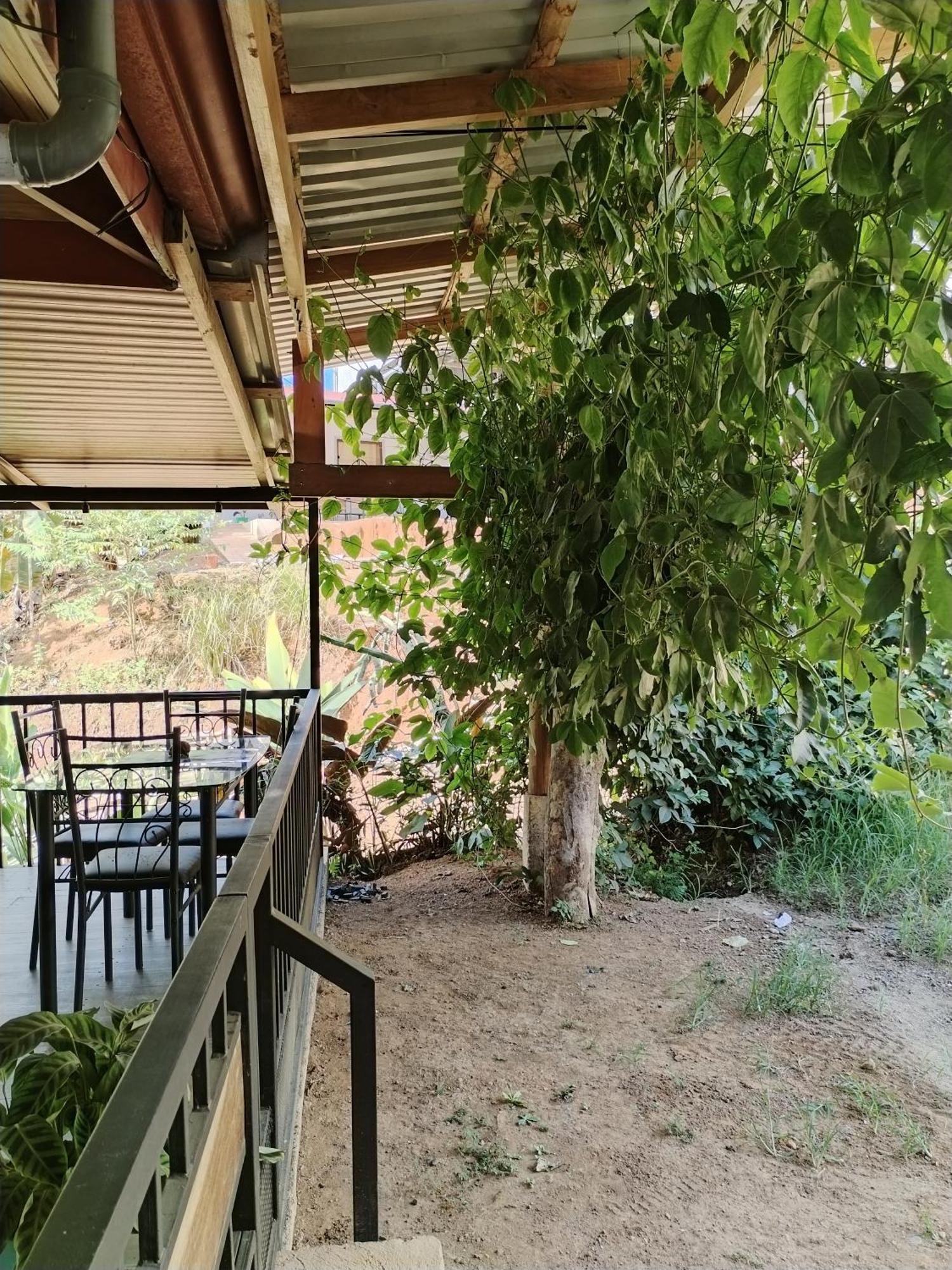 Osa House - Drake Corcovado Tours Bed & Breakfast Drakes Bay Екстериор снимка