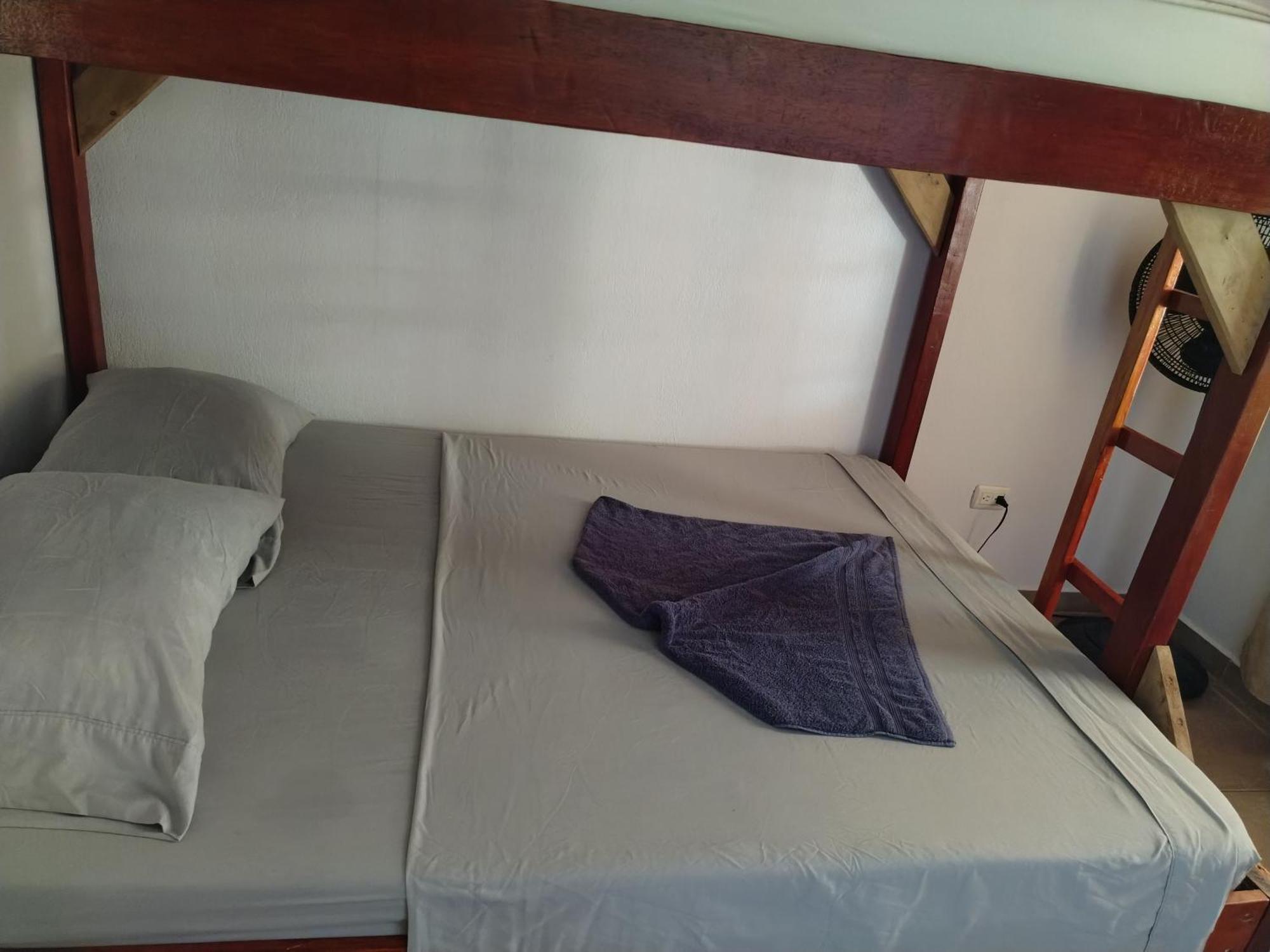 Osa House - Drake Corcovado Tours Bed & Breakfast Drakes Bay Екстериор снимка