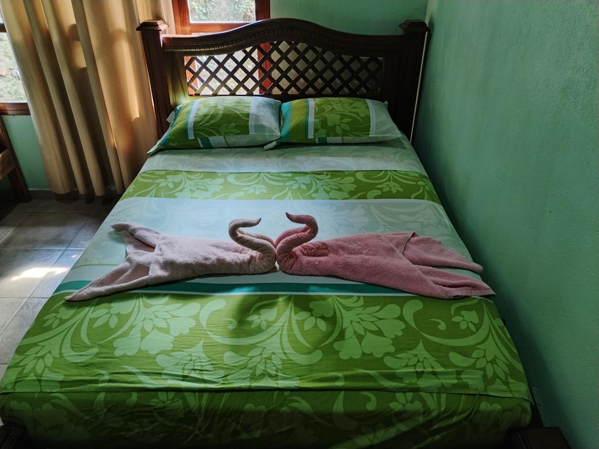 Osa House - Drake Corcovado Tours Bed & Breakfast Drakes Bay Екстериор снимка